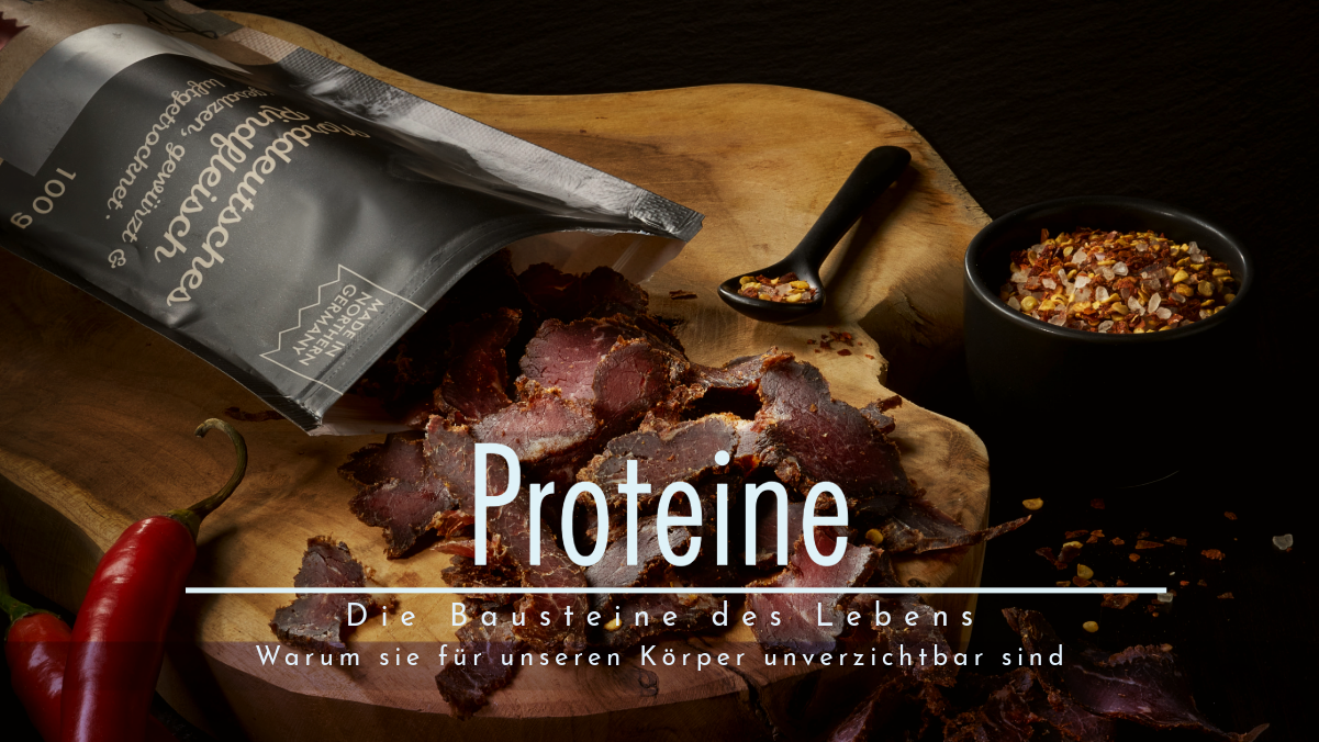 Proteine: Die Bausteine des Lebens – Warum sie für unseren Körper unverzichtbar sind